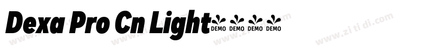 Dexa Pro Cn Light字体转换
